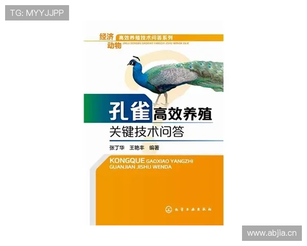 巴西出局原因解析:挪威高效反击成为关键 巴西出局原因解析:挪威高效反击成为关键